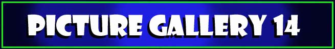 Picture Gallery 14