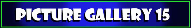 Picture Gallery 15