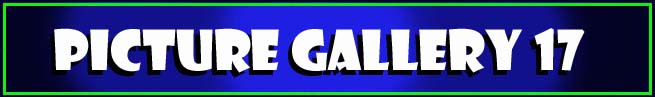 Picture Gallery 17