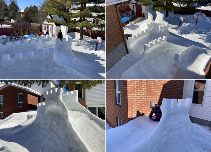 Snowslides 20201.